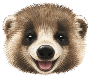 AnagumaSakuke.com Logo